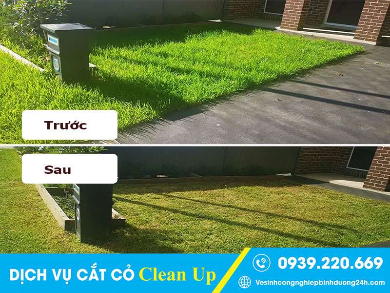 Dịch vụ cắt cỏ Clean Up cam kết sạch đẹp, giá phải chăng