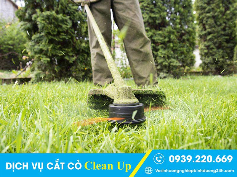 Clean Up - Dịch vụ cắt cỏ tại Bình Dương được đánh giá cao