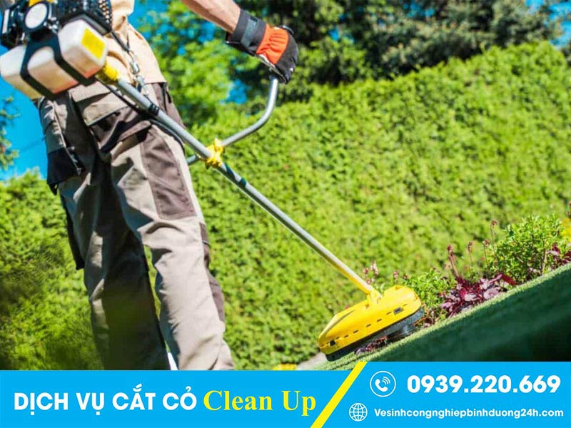 Clean Up cắt mọi loại cỏ, dọn dẹp, chăm sóc cảnh quan khuôn viên