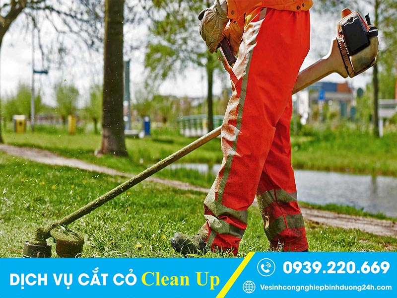 Clean Up - Dịch vụ cắt cỏ tại Long Khánh, Đồng Nai