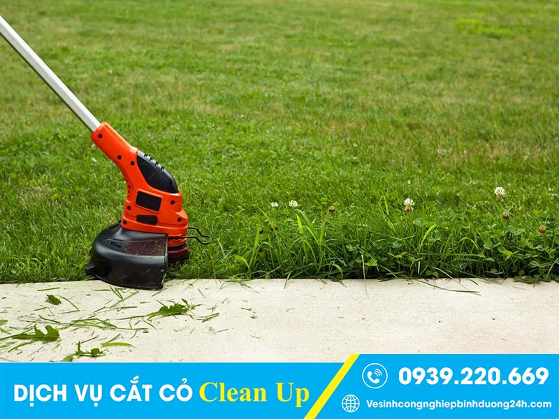 Clean Up - Dịch vụ cắt cỏ tại Nhơn Trạch cam kết chất lượng, giá tốt