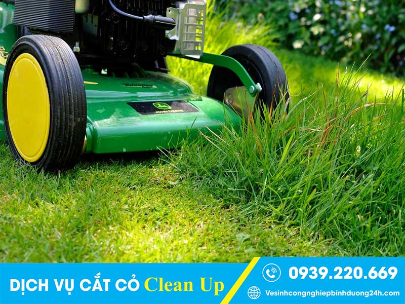 Clean Up sử dụng máy móc hiện đại, công suất lớn để cắt cỏ