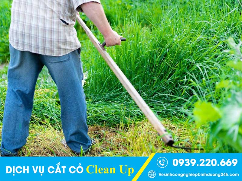 Thợ cắt cỏ Clean Up xử lý được mọi loại cỏ