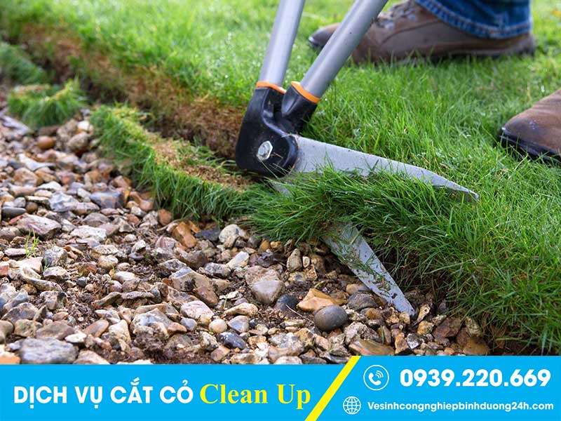 Thuê dịch vụ cắt cỏ Clean Up yên tâm về hiệu quả công việc