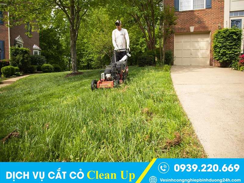 Dịch vụ cắt cỏ Clean Up sạch đẹp, giá rẻ