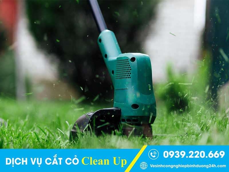 Thuê Clean Up khi bạn cần dọn dẹp, cắt tỉa cỏ cho sân vườn, khuôn viên, cảnh quan