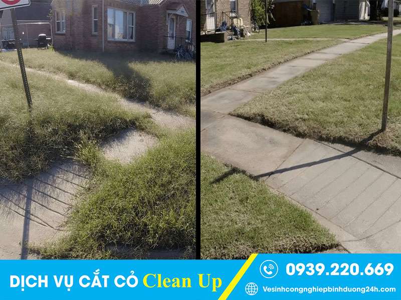 Trước và sau khi thuê dịch vụ cắt cỏ của Clean Up