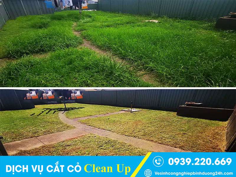 Dịch vụ cắt cỏ tại Tân Bình giá rẻ, cam kết sạch đẹp