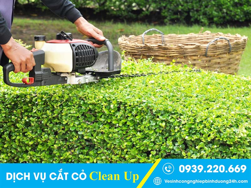 Clean Up trang bị đầy đủ loại máy móc, thiết bị cắt cỏ, chăm sóc cảnh quan