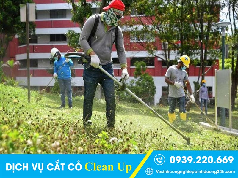 Clean Up - Dịch vụ cắt cỏTrảng Bom uy tín, cam kết về chất lượng