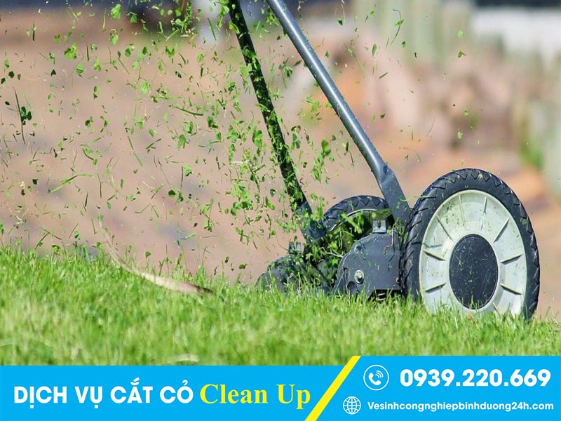 Clean Up - Đơn vị cắt cỏ tại Tân Uyên mọi khách hàng hài lòng