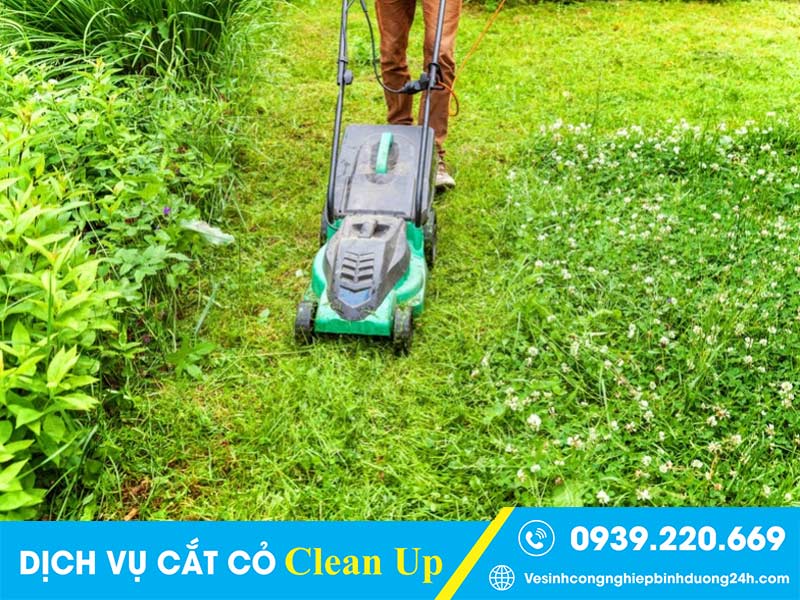 Liên hệ Clean Up khi cần thuê thợ cắt cỏ tận tâm, giàu kinh nghiệm