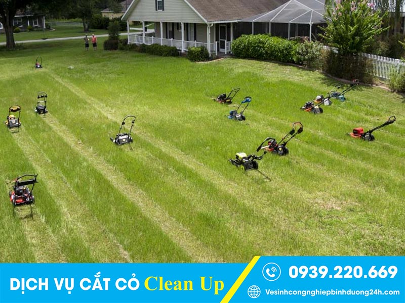 Clean Up - Đơn vị cắt cỏ tại Bàu Bàng giá rất phải chăng