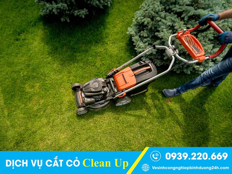 Clean Up đầu tư nhiều loại máy móc, dụng cụ cắt cỏ