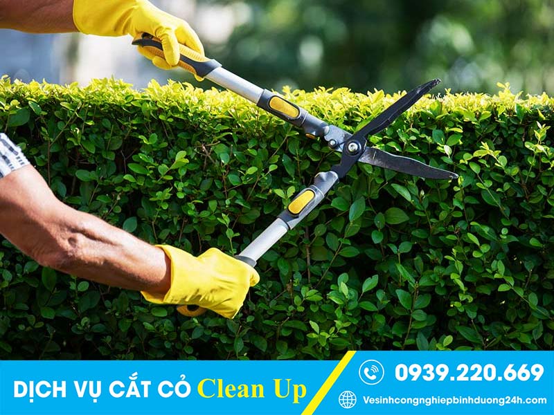 Clean Up triển khai công việc cắt cỏ linh hoạt theo nhu cầu khách