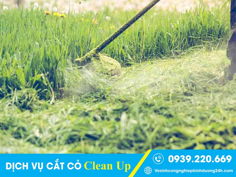 Clean Up triển khai đa dạng các hình thức cắt cỏ, xử lý mọi loại cỏ