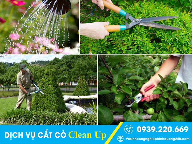 Clean Up xử lý, cắt tỉa cỏ, chăm sóc cảnh quan toàn diện