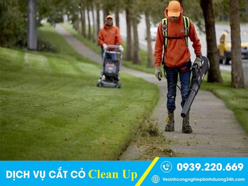 Clean Up triển khai dịch vụ cắt cỏ, phát hoang bụi rậm, chăm sóc cảnh quan 