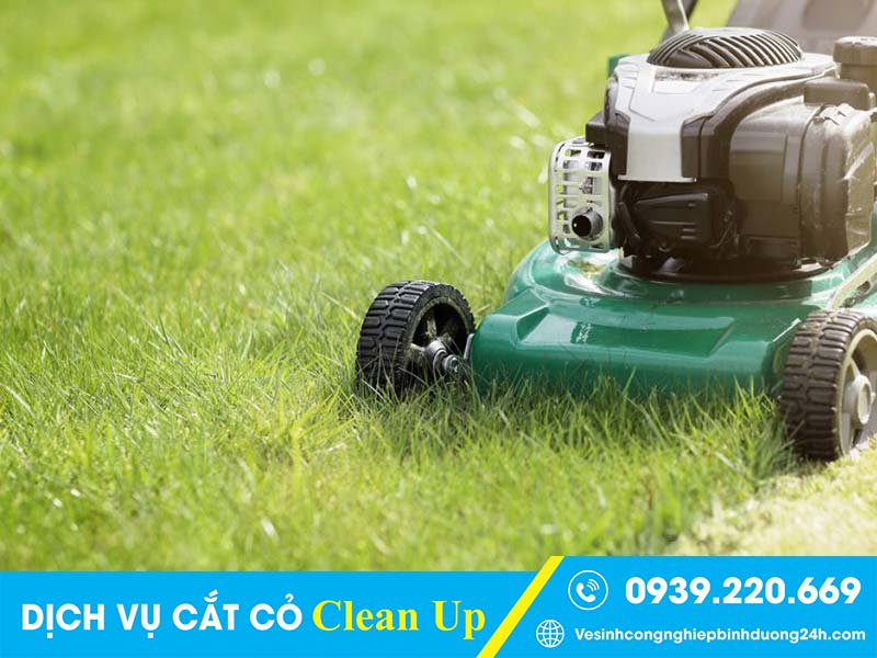 Clean Up xử lý, cắt mọi loại cỏ, chăm sóc cảnh quan