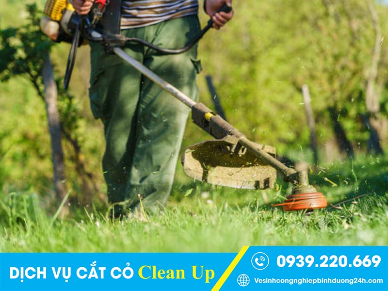 Liên hệ Clean Up khi bạn cần thuê dịch vụ cắt cỏ tại Phú Giáo giá hợp lý