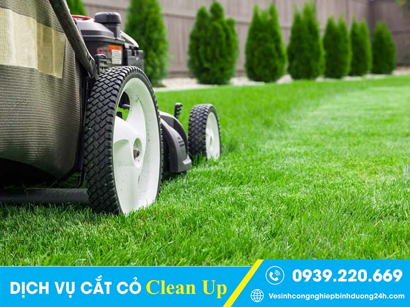 Quy trình cắt cỏ Clean Up bài bản, rõ ràng và hiệu quả