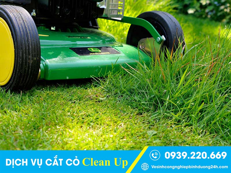 Clean Up tư vấn, triển khai dịch vụ cắt cỏ theo nhu cầu từng khách hàng