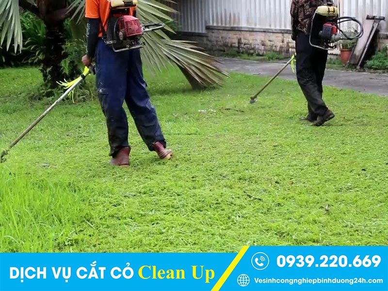 Thuê dịch vụ cắt cỏ Clean Up chuyên nghiệp, làm việc cẩn thận