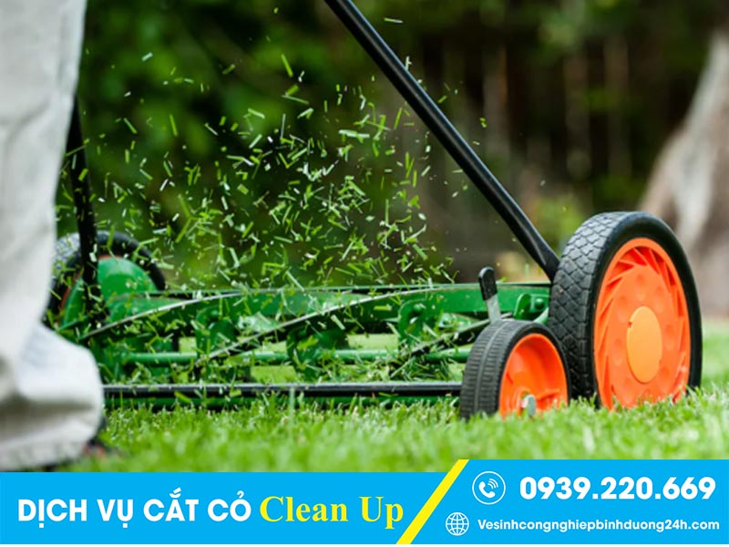 Quy trình thuê cắt cỏ tại Clean Up nhanh gọn, hiệu quả