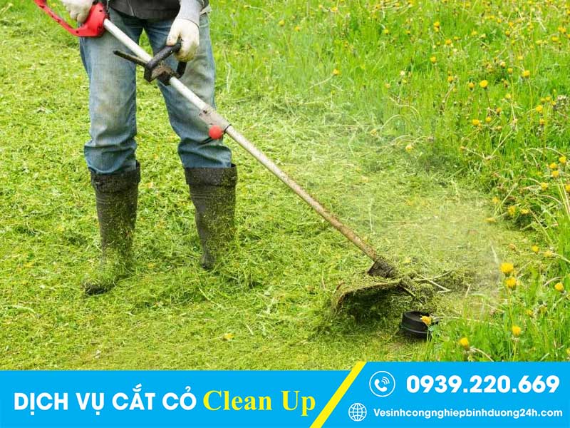 Clean Up - Dịch vụ cắt cỏ tại Hồ Chí Minh đáng đồng tiền bát gạo
