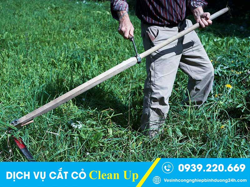 Clean Up triển khai đa dạng hình thức, gói cắt cỏ theo nhu cầu khách hàng