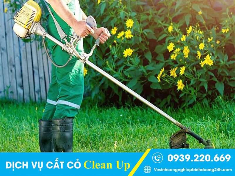 Clean Up - Đơn vị cắt cỏ Thủ Đức giá tốt nhất