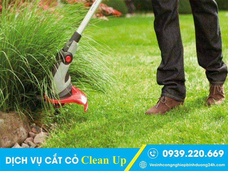 Clean Up - Dịch vụ cắt cỏ tại Quận 8 sạch đẹp, giá rẻ