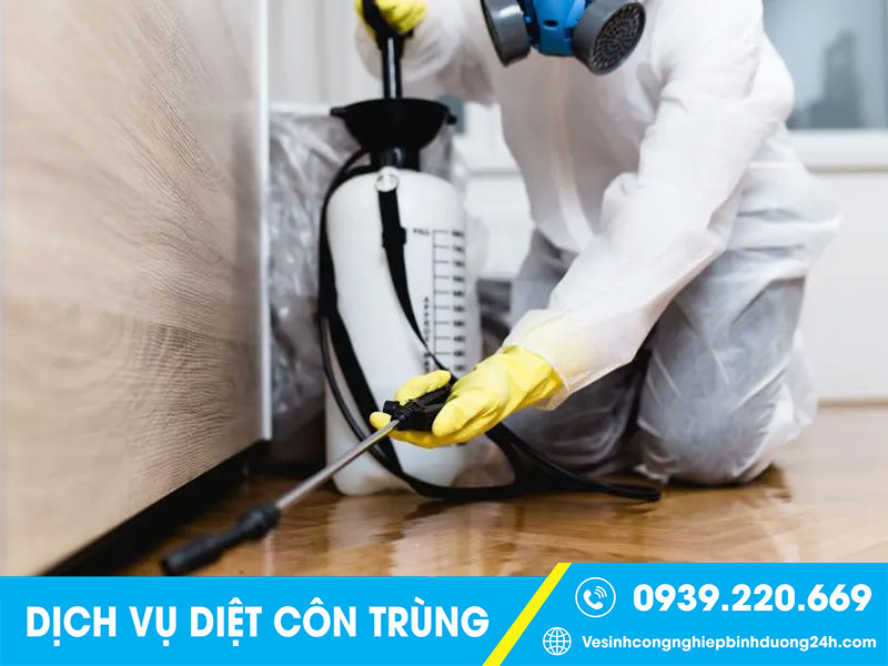 Thuê xử lý, kiểm soát côn trùng tại Bình Dương giá rẻ liên hệ ngay Clean Up