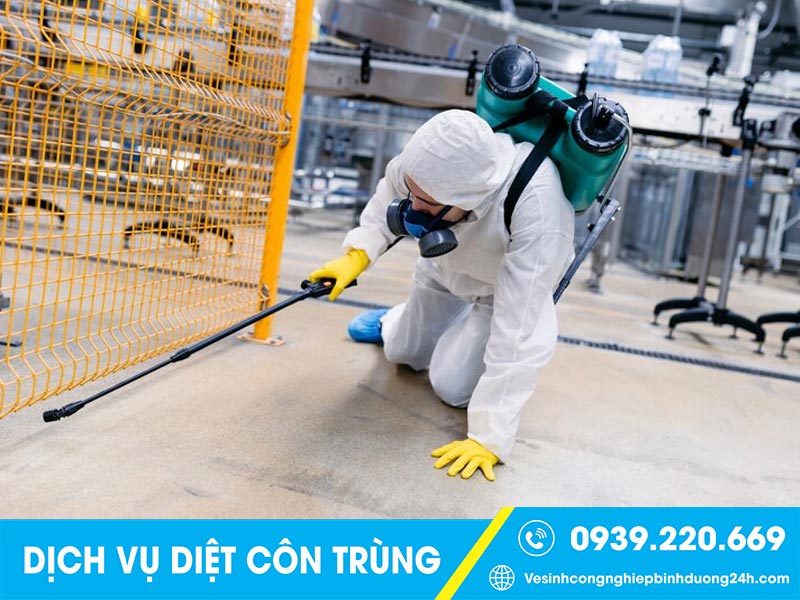 Quy trình triển khai kiểm soát, phun thuốc xử lý côn trùng bài bản, rõ ràng