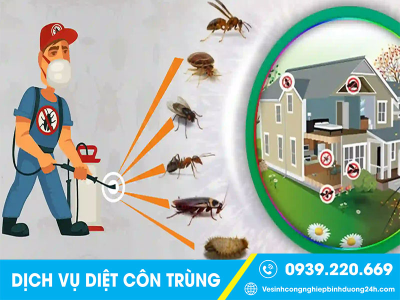 Clean Up - Công ty xử lý côn trùng tại Bình Dương giá rẻ, 10 năm kinh nghiệm 