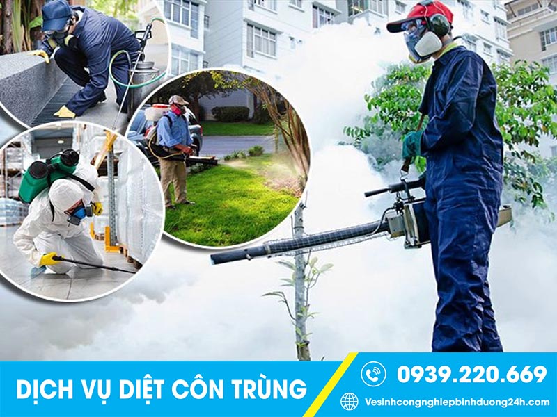 Clean Up - Công ty xử lý côn trùng tại Đồng Nai 10 năm kinh nghiệm