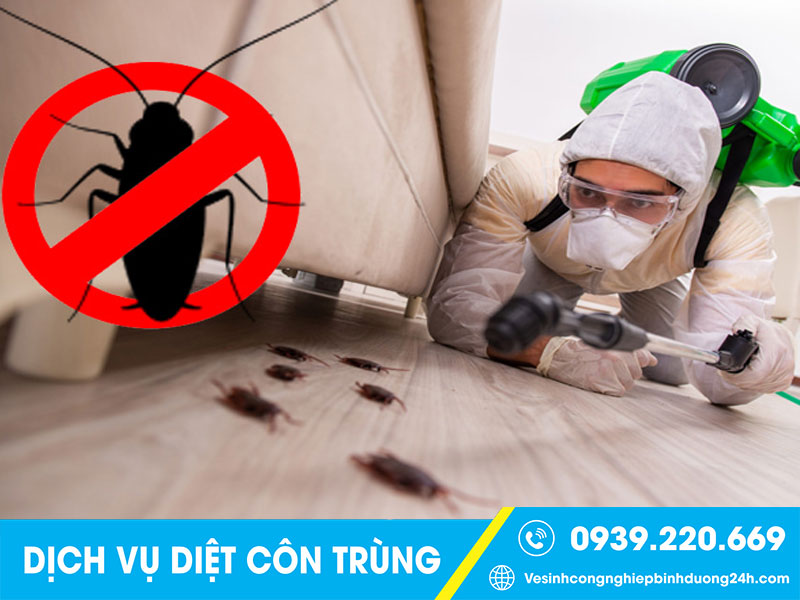 Clean Up - Công ty diệt côn trùng tại Đồng Nai giá rẻ, thợ rất có tâm