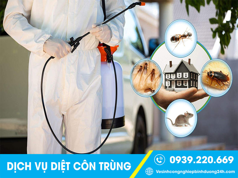 Dịch vụ kiểm soát côn trùng tại Đồng Nai - Giải pháp thiết thực bảo vệ sức khỏe mỗi chúng ta