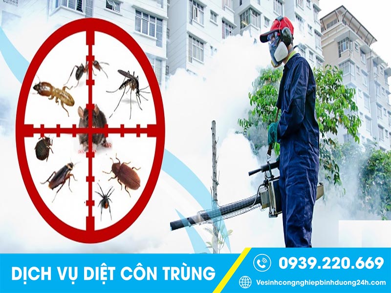 Clean Up - Công ty xử lý côn trùng tại Long An giá rẻ, uy tín