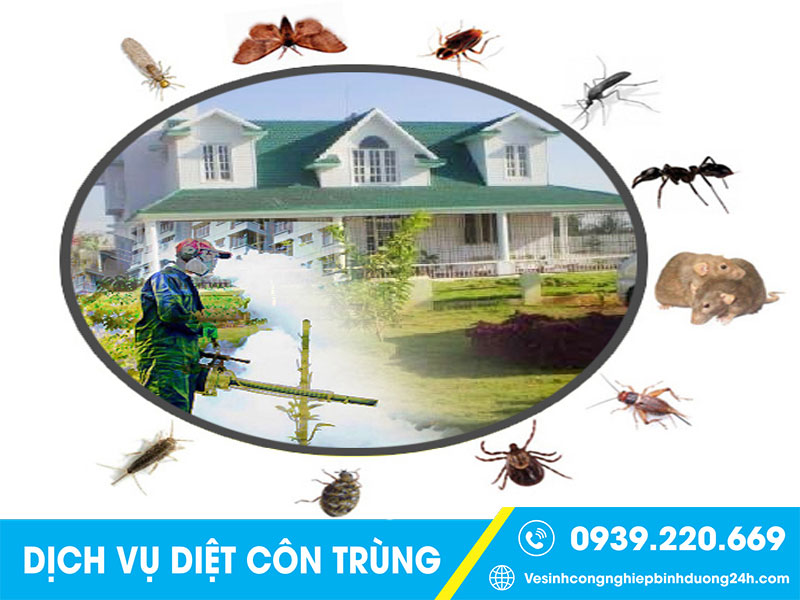 Các loại côn trùng gây hại cần được phát hiện, xử lý kịp thời