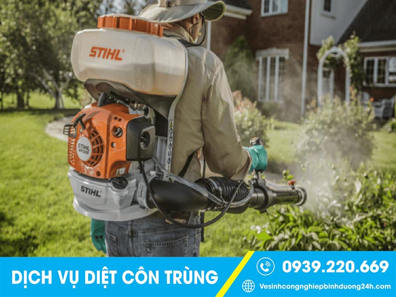 Clean Up triển khai đa dạng dịch vụ kiểm soát côn trùng tại Bình Dương