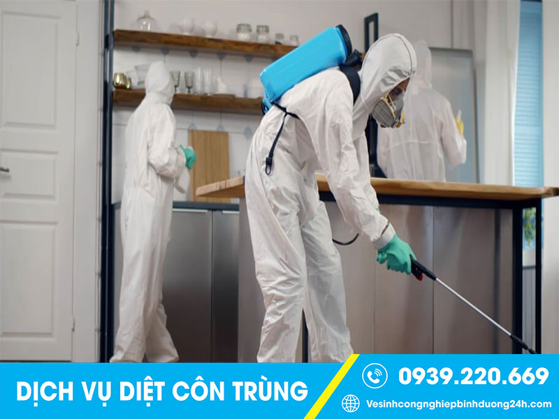 Clean Up áp dụng linh hoạt các phương pháp diệt chuột tại Đồng Nai