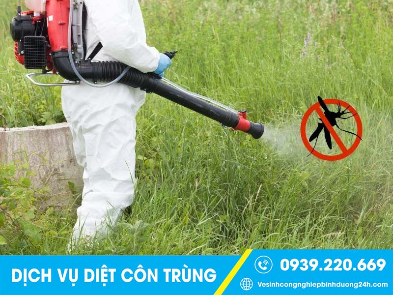 Quy trình phun thuốc muỗi bài bản, an toàn và hiệu quả