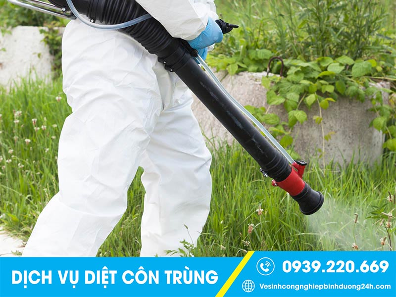 Clean Up  - Dịch vụ phun thuốc diệt muỗi Đồng Nai giá rẻ