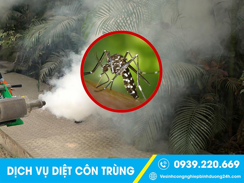 Phun thuốc muỗi thường xuyên để bảo vệ sức khỏe con người, cảii thiện không gian sống