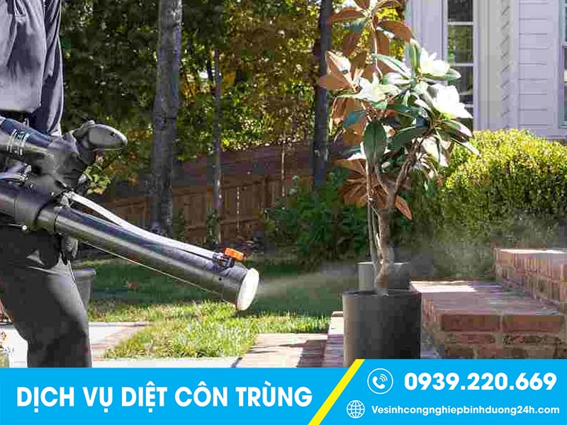 Clean Up - Dịch vụ phun diệt muỗi tại Bình Dương giá rẻ, uy tín