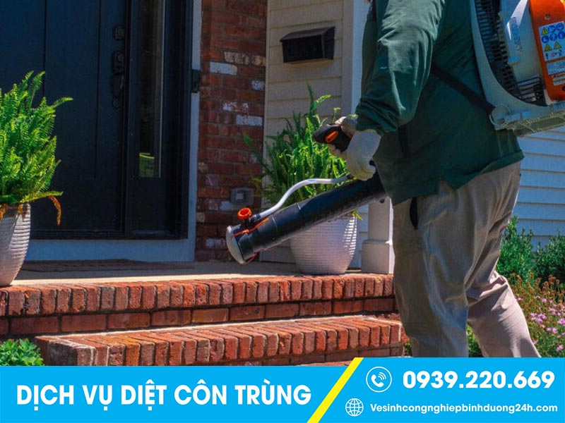 Clean Up - Dịch vụ phun thuốc diệt muỗi Đồng Nai giá rẻ, được tin tưởng