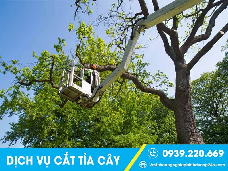 Clean Up sử dụng thiết bị chuyên dụng để hỗ trợ công việc