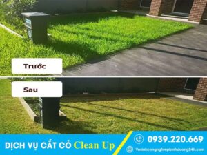Dịch vụ cắt cỏ Long Khánh giá rẻ, thợ có tâm