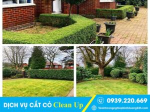 Clean Up xử lý được mọi loại cỏ, phát hoang bụi rậm, chăm sóc cảnh quan
